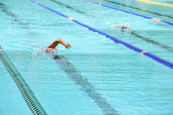 people swimming in pool