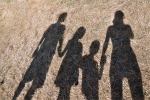 Shawdows of a family