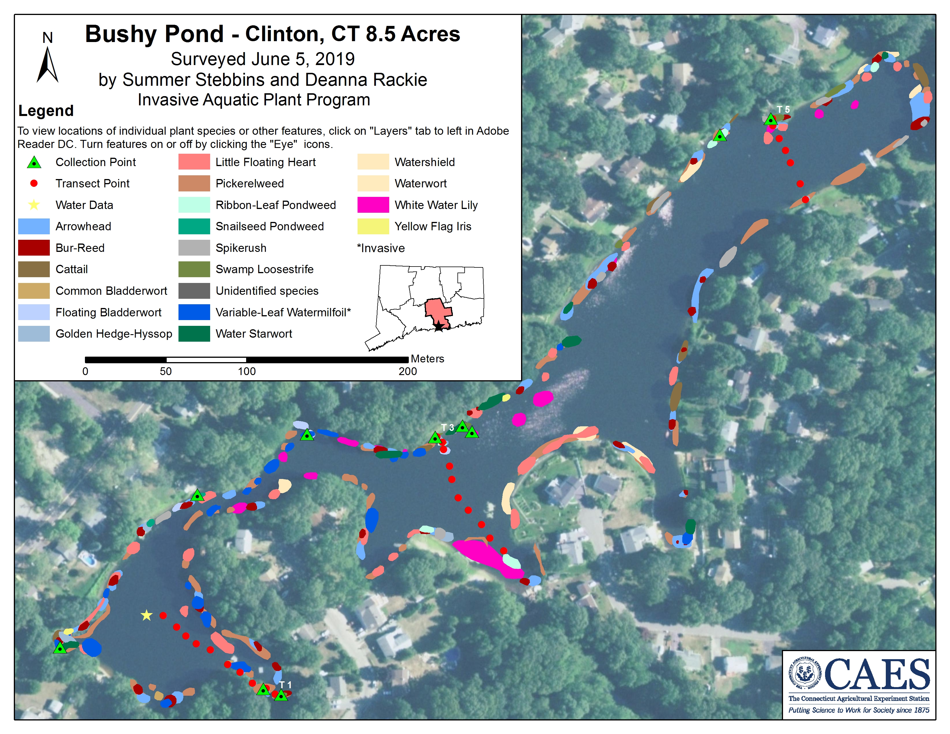 Survey Map of Bushy Pond in 2019