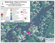 Survey Map of Bushy Pond in 2019