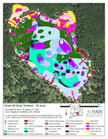 2023 aquatic vegetation survey map of Great Hill Pond