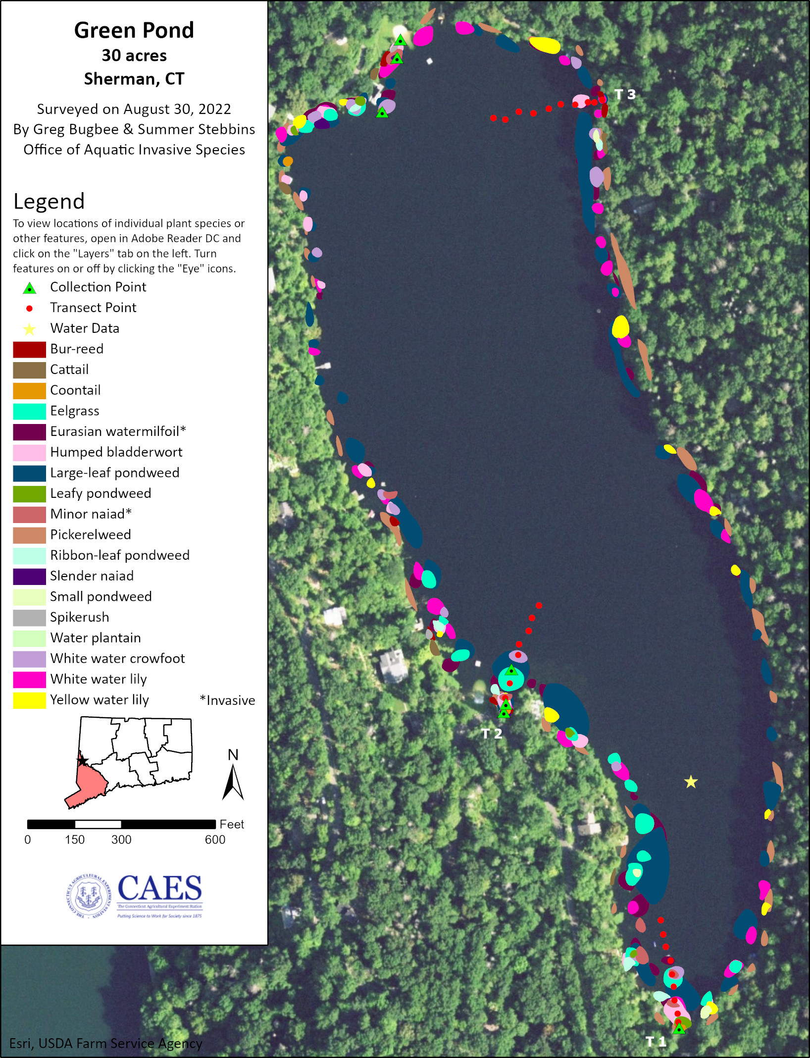 2022 aquatic plant survey map of Green Pond in Sherman
