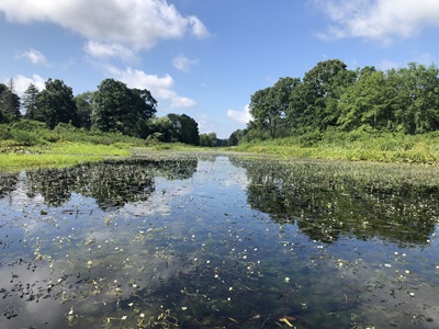 Southern cove of Lake Quonnipaug in Guilford, CT