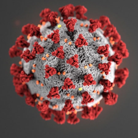 Coronavirus