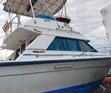 33’8”, Phoenix Flybridge