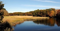 East River Marsh Guilford and Madison Connecticut