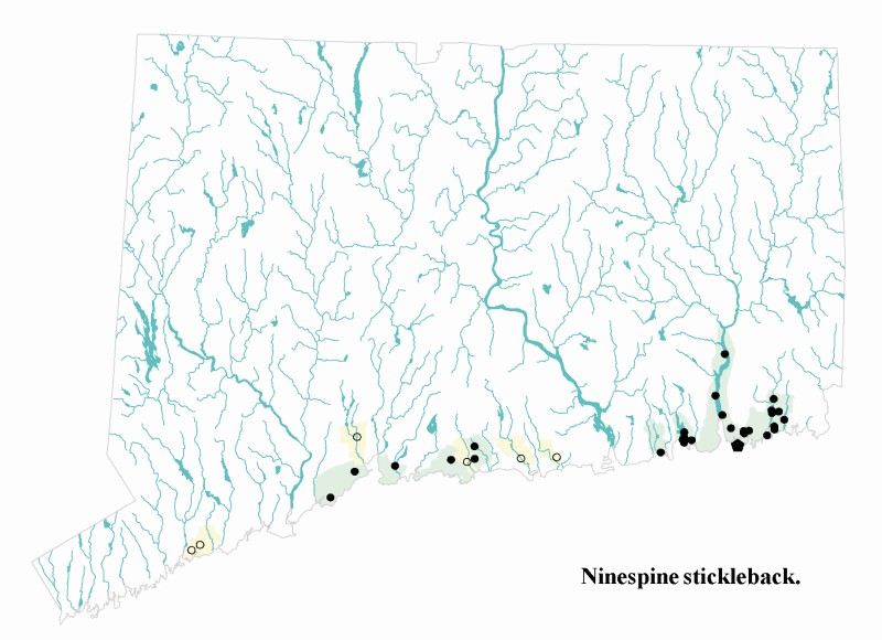 Ninespine stickelback distribution map.