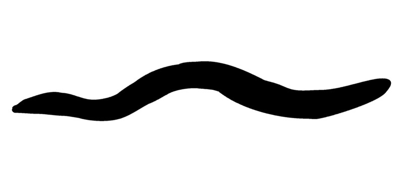 Freshwater eel silhouette.
