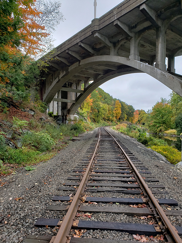 Railroad ties made out of wood.