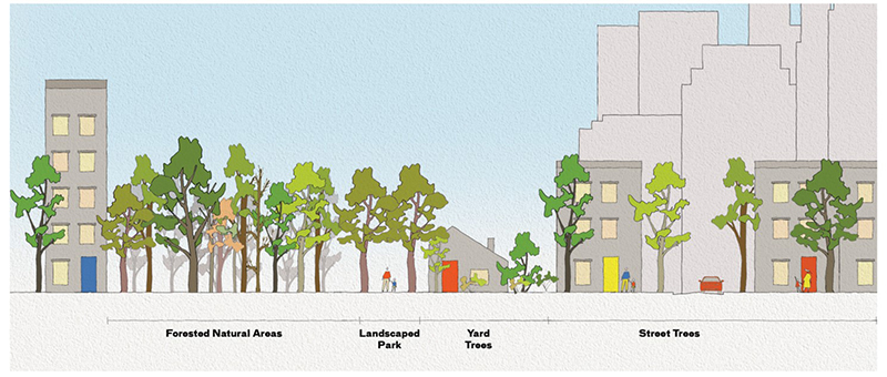 Urban Forest Canopy Types