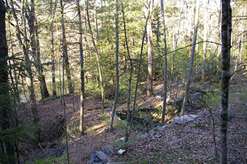 Harwinton riparian access.