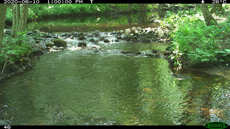 Streamflow Category 4