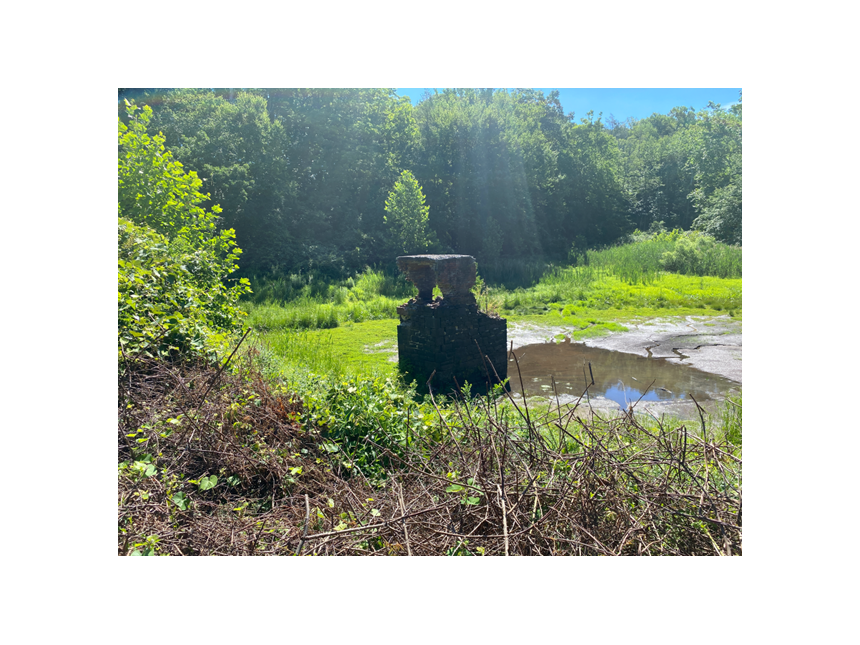 Asylum Reservoir #1 Dam (CVH)