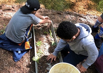 Students demonstrate erosion by constructing miniature streams.
