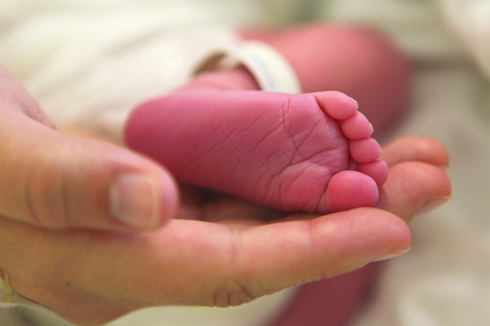 Newborn Foot