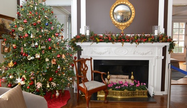 The Governor's Residence