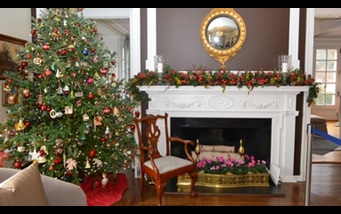 The Governor's Residence