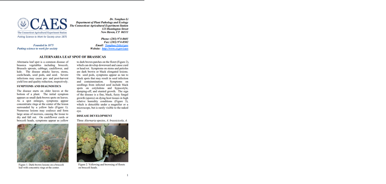 the first page of the fact sheet Alternaria leaf spot of brassicas